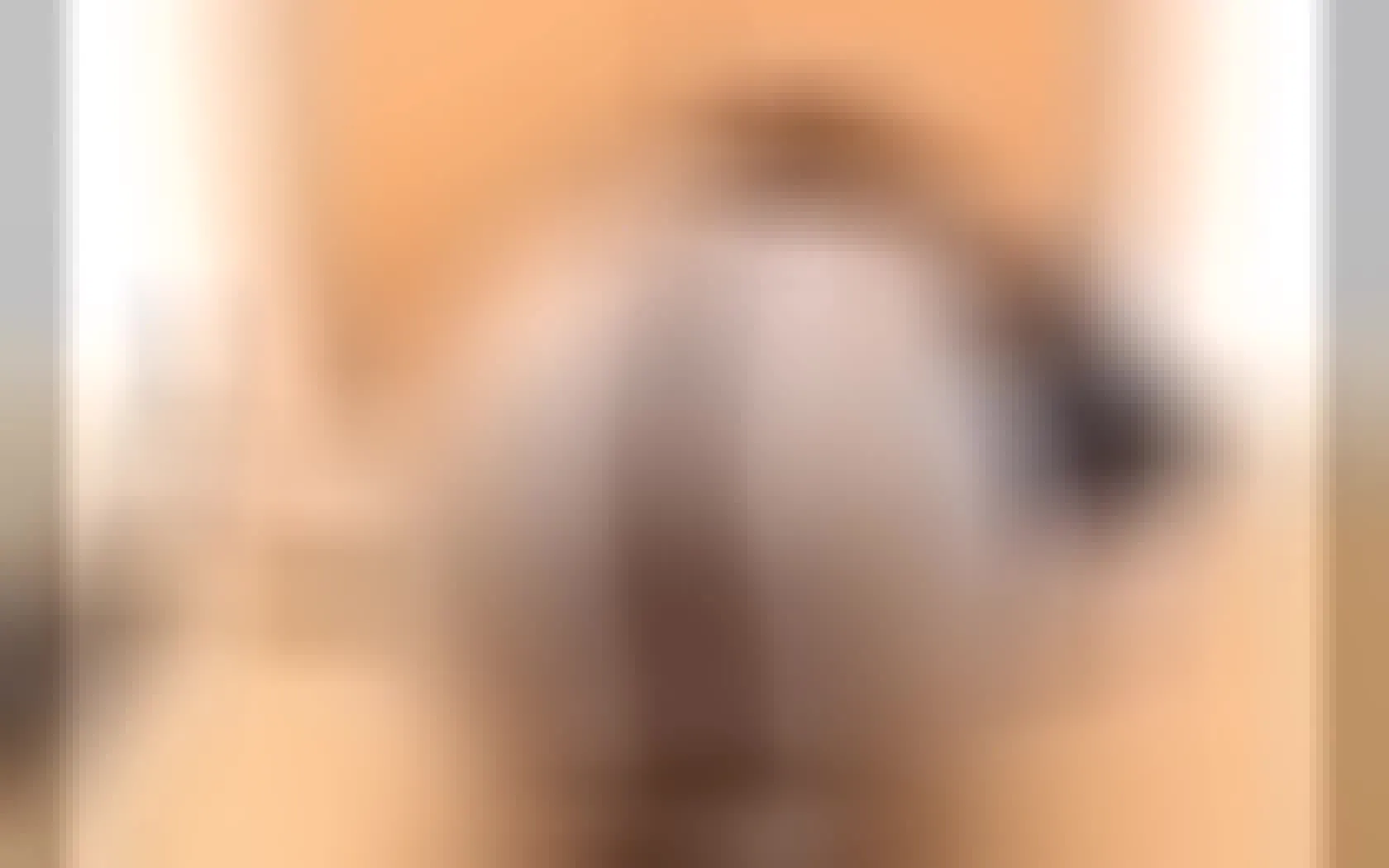 Interprete SEXYLATOYA26 Video 1