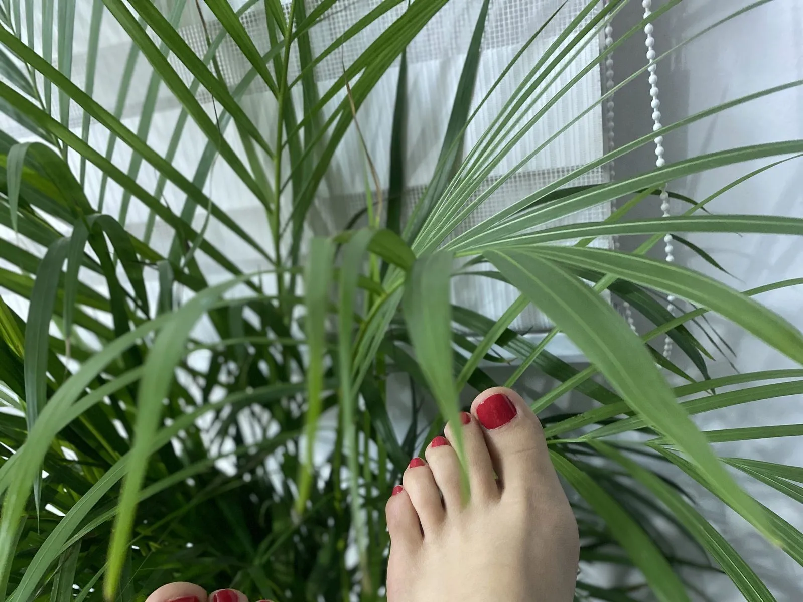 Interprete aknawildee Foto 10