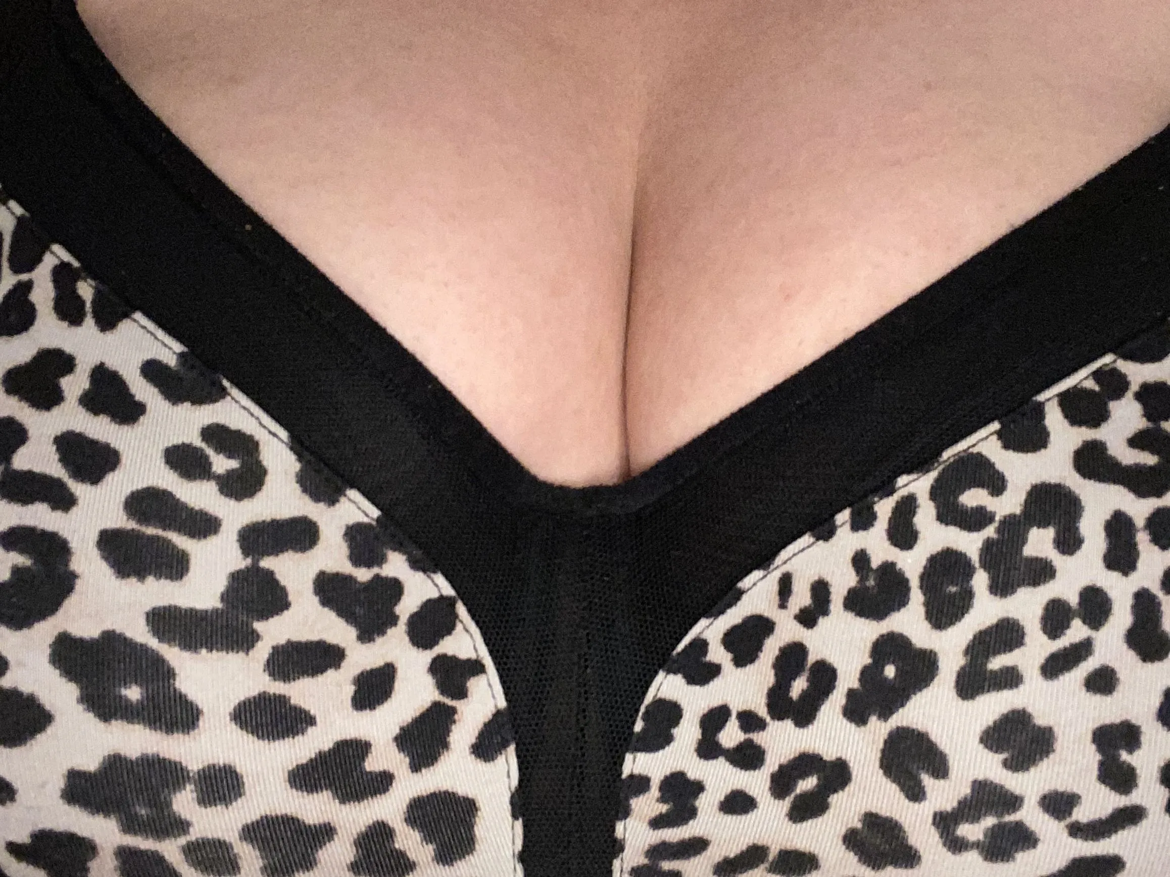 BBWtits profilbild på webbkameramodell
