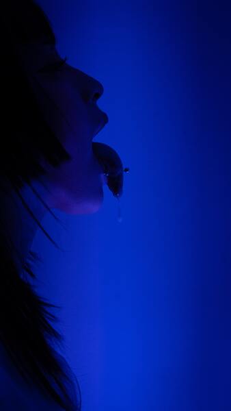 Interprete poisonravenn Foto 3