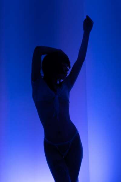 Interprete poisonravenn Foto 6