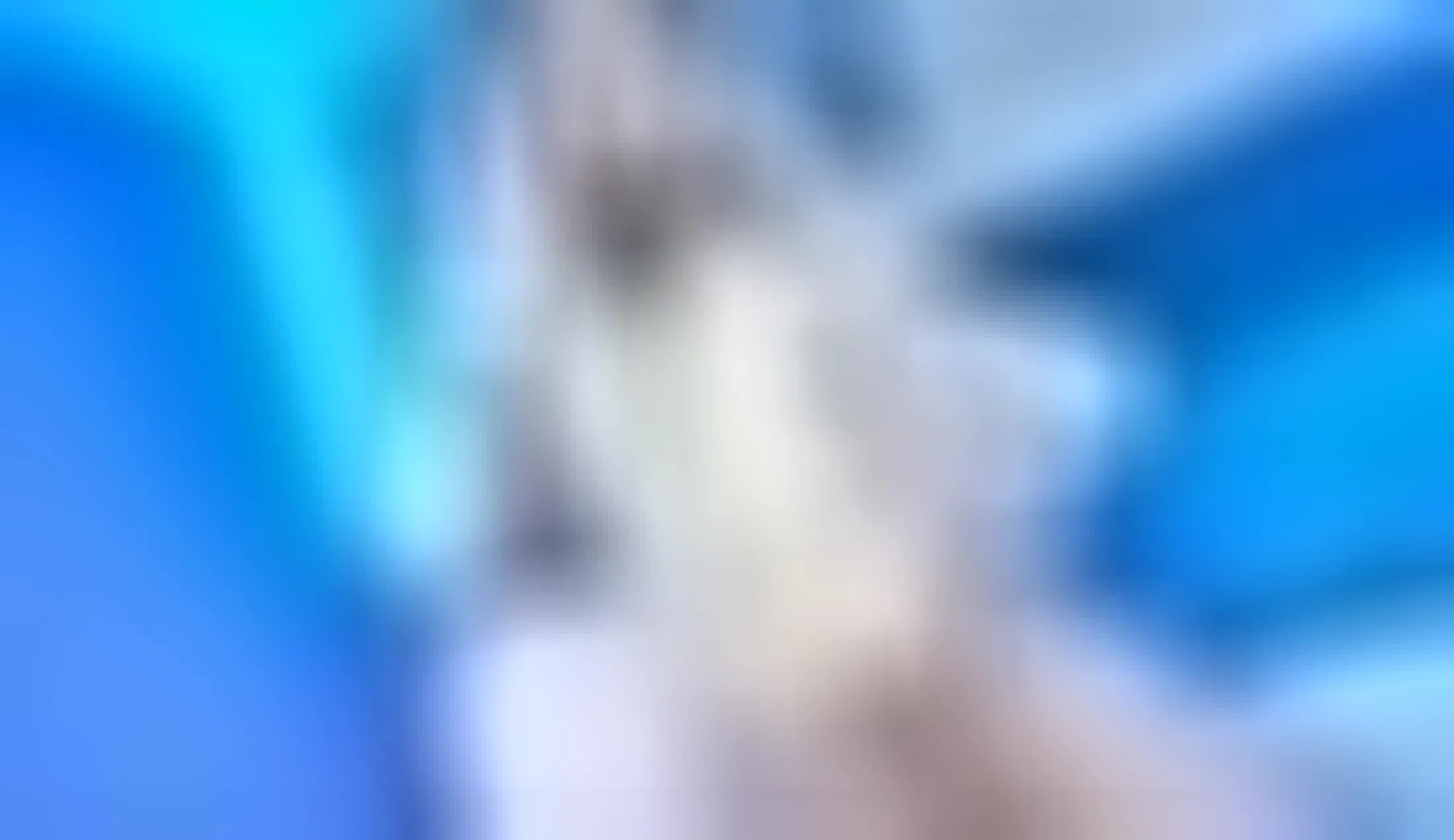 Artista AleeLove Video 1