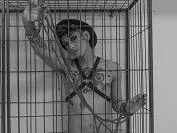 Foto de perfil de modelo de webcam de BaelDagger