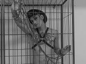 BaelDagger profilbild på webbkameramodell