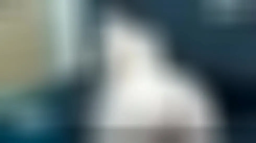 Interprete emakross Video 1