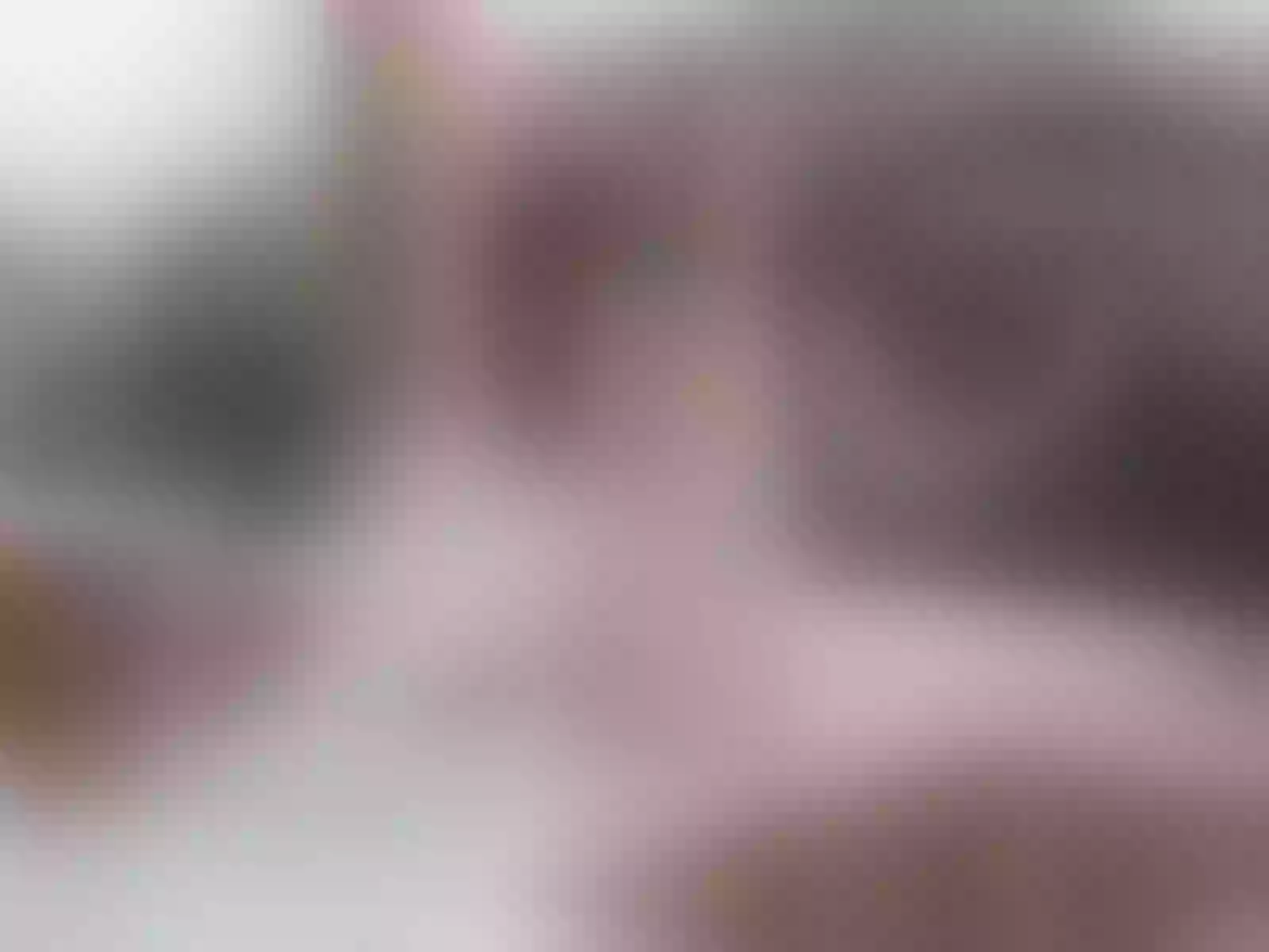 IbiizaAdams immagine del profilo del modello di cam
