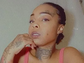 Image de profil du modèle de webcam VixenShakes