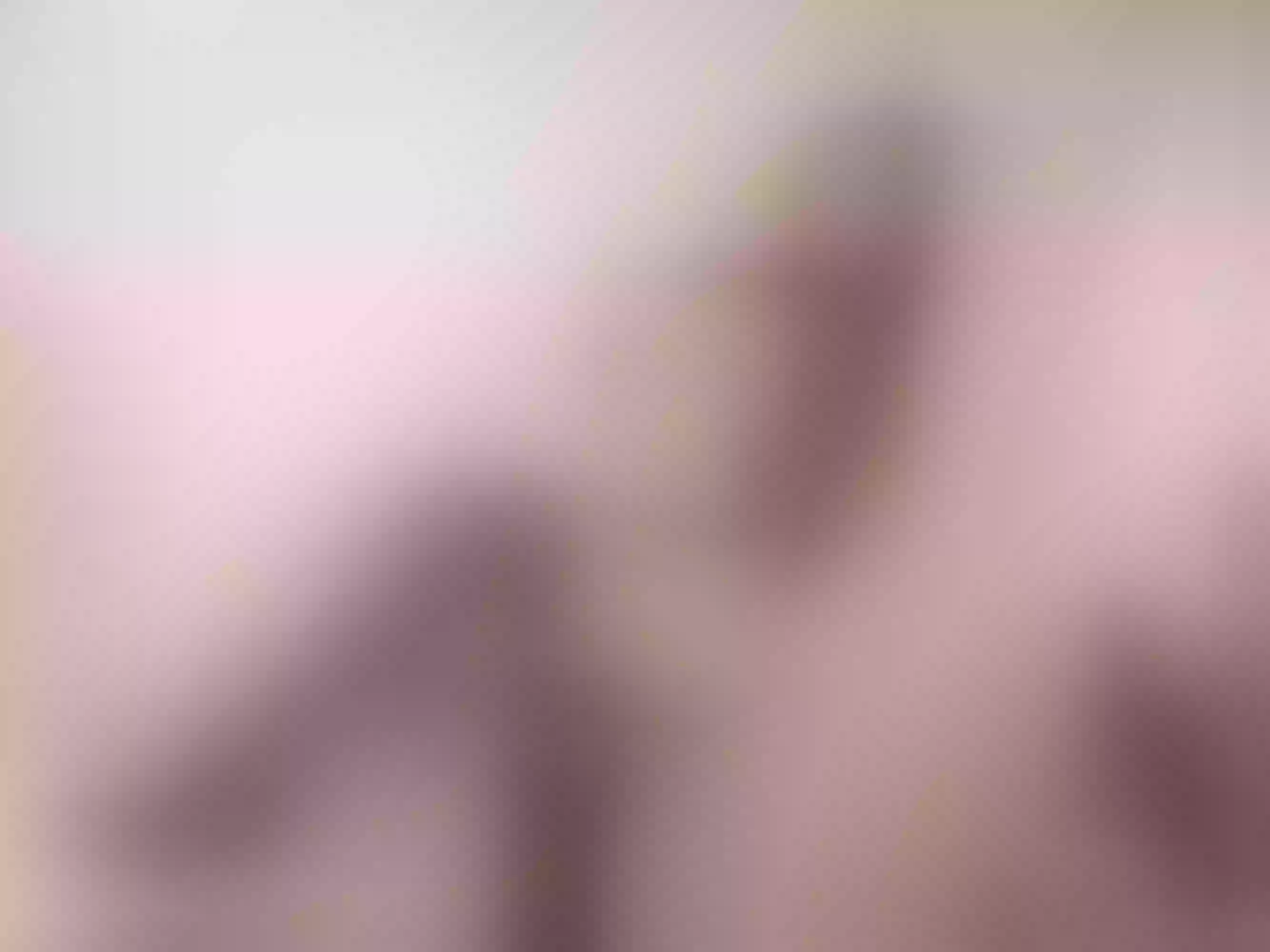 IsabelaJenner profielfoto van cam model