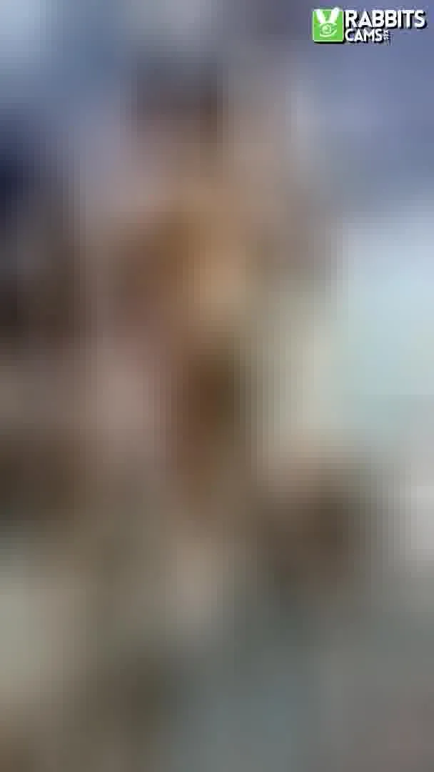 Artist AmyHaarris Video 3
