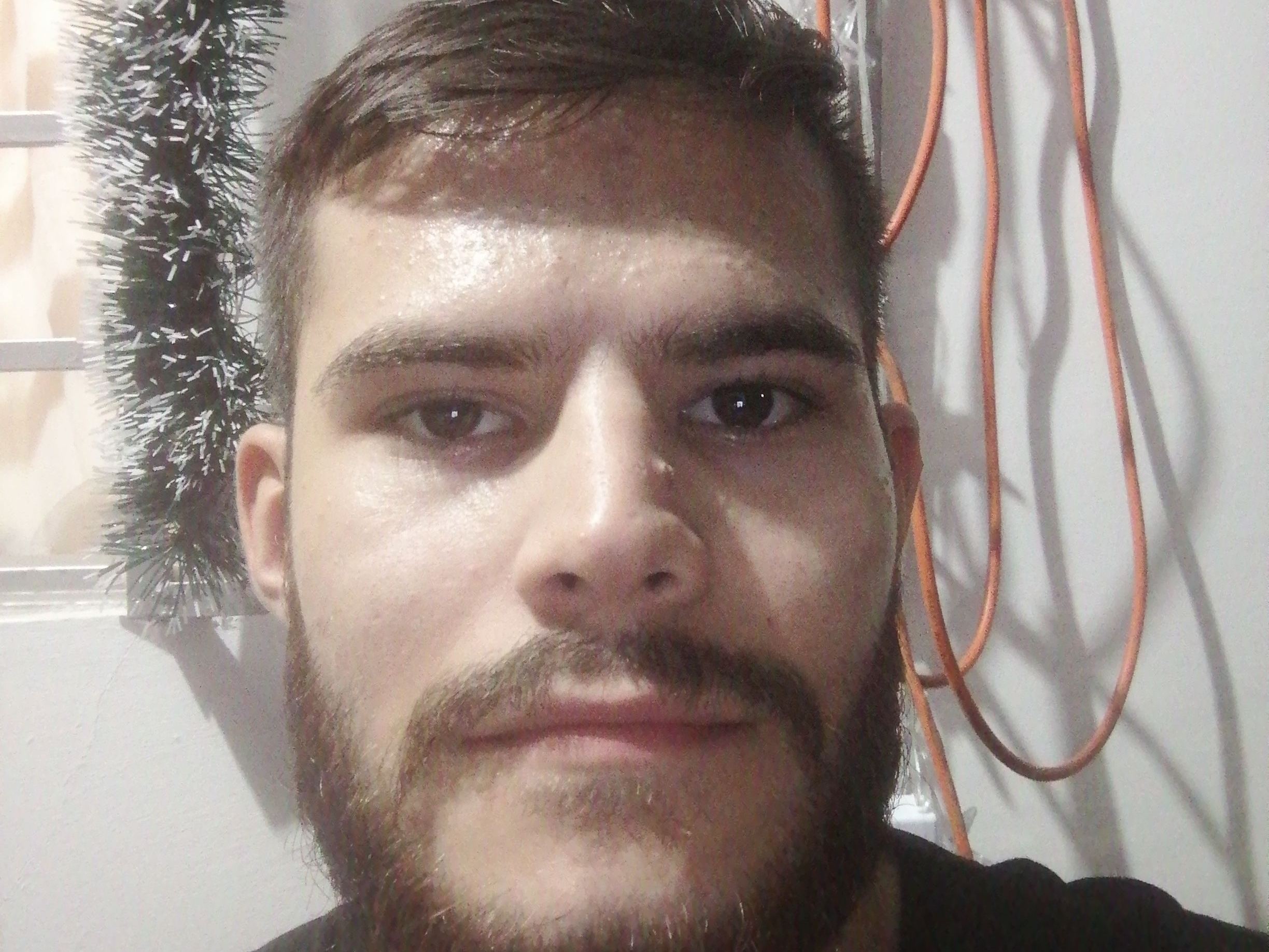 Foto de perfil de modelo de webcam de wilmerg10 