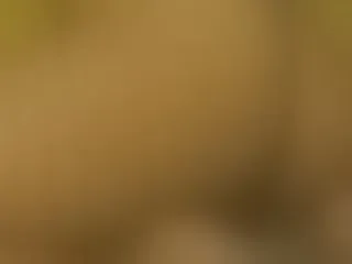Dymedelight immagine del profilo del modello di cam