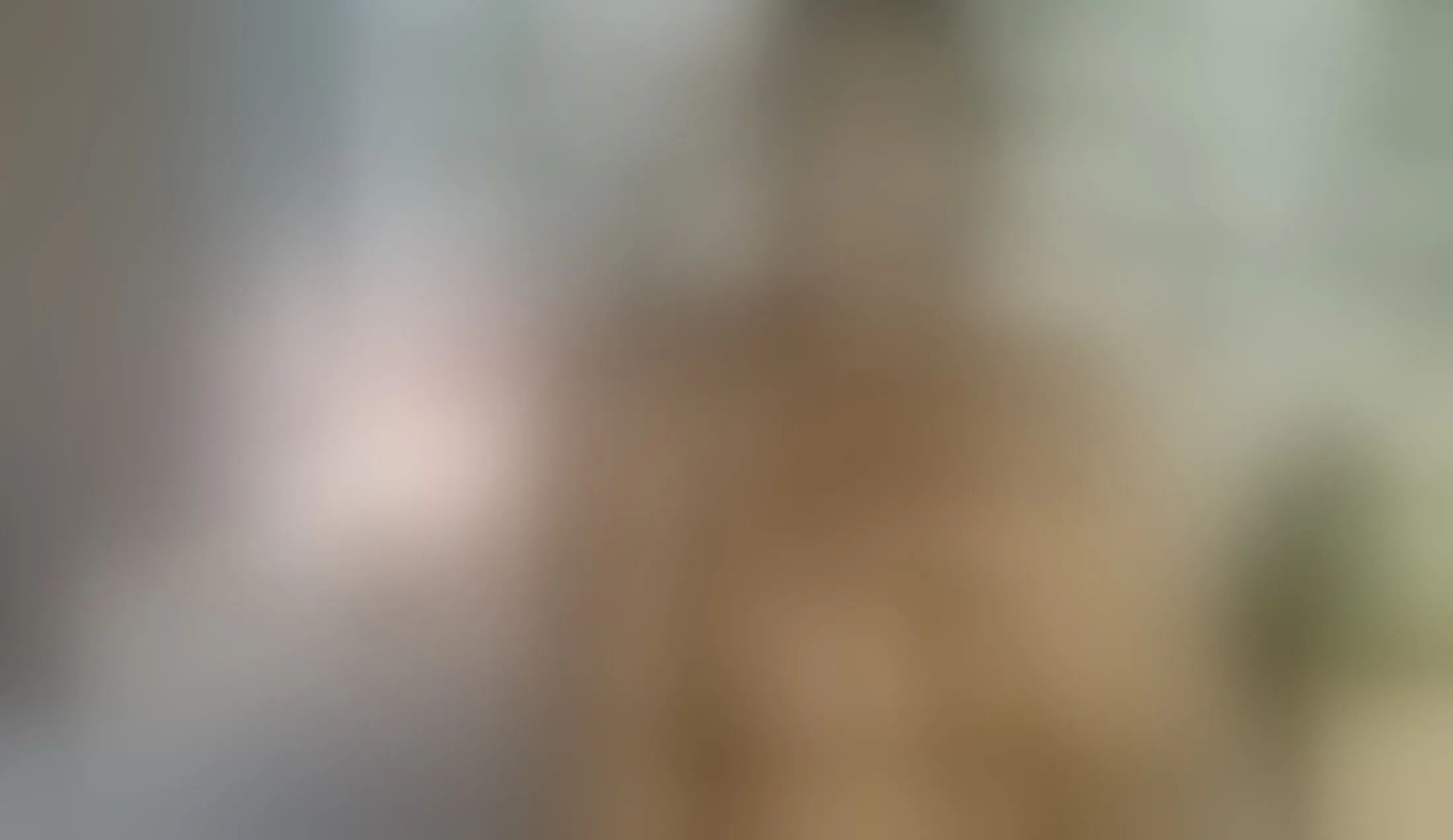 Interprète emilyrojas Vidéo 2
