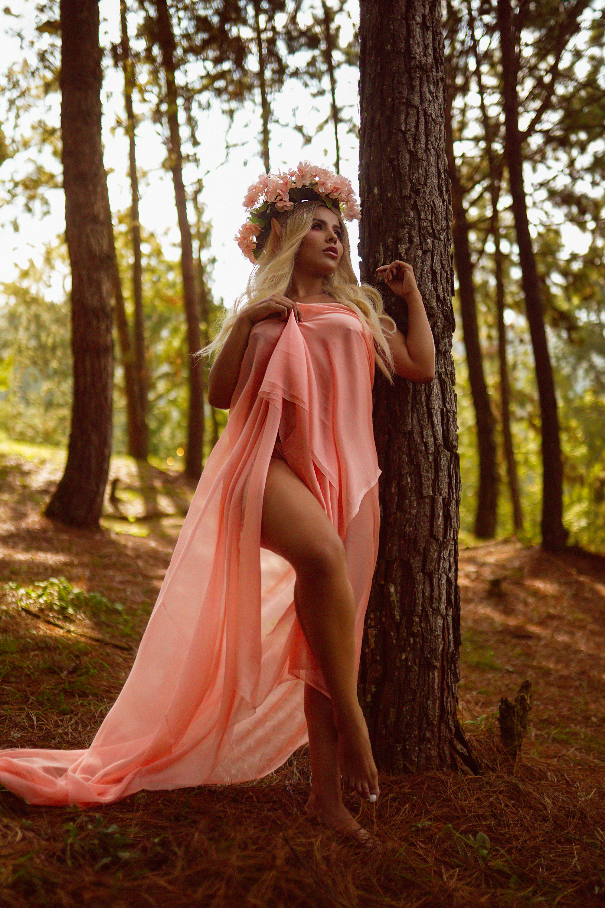 Interprete SophiRey Foto 9