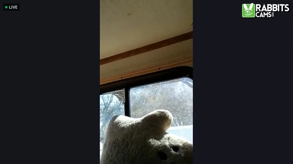 Intérprete Dwwylin Video 1