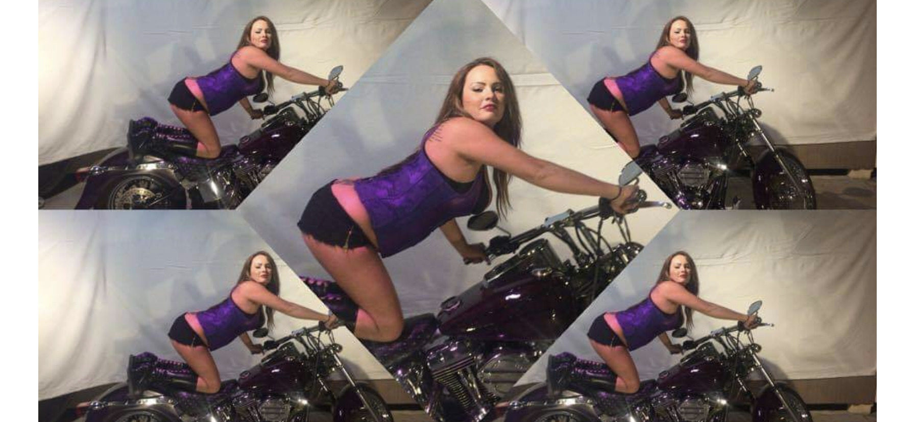 Interprete Misstiff315 Foto 2