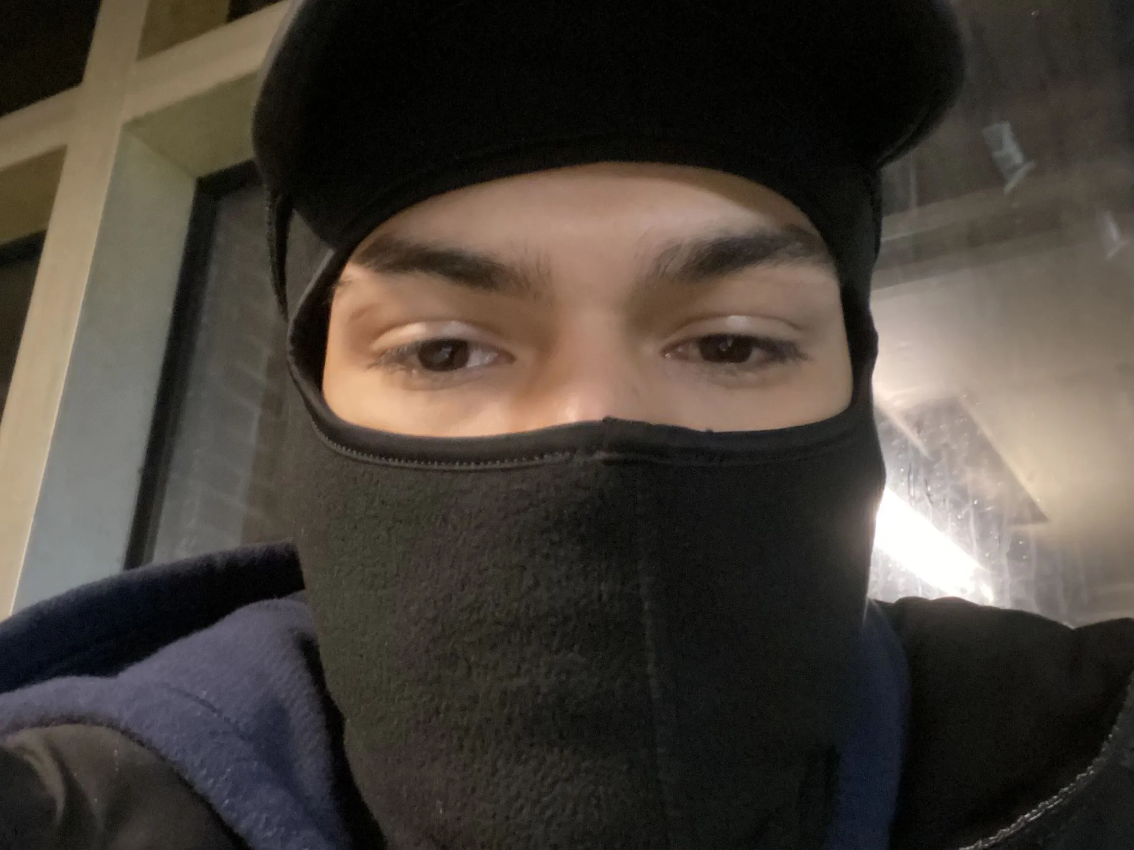 Imagen de perfil de modelo de cámara web de DaveBankss
