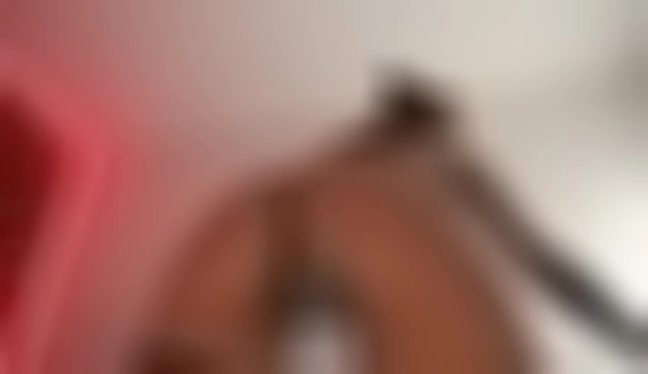 Darsteller saracollinxx Video 1