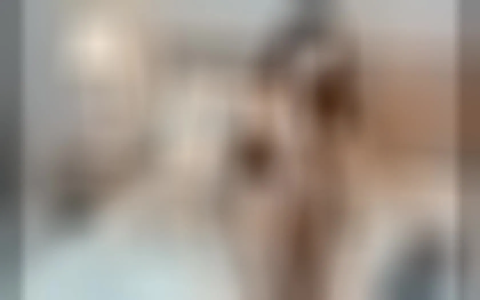 Darsteller ElectraRomano Video 1