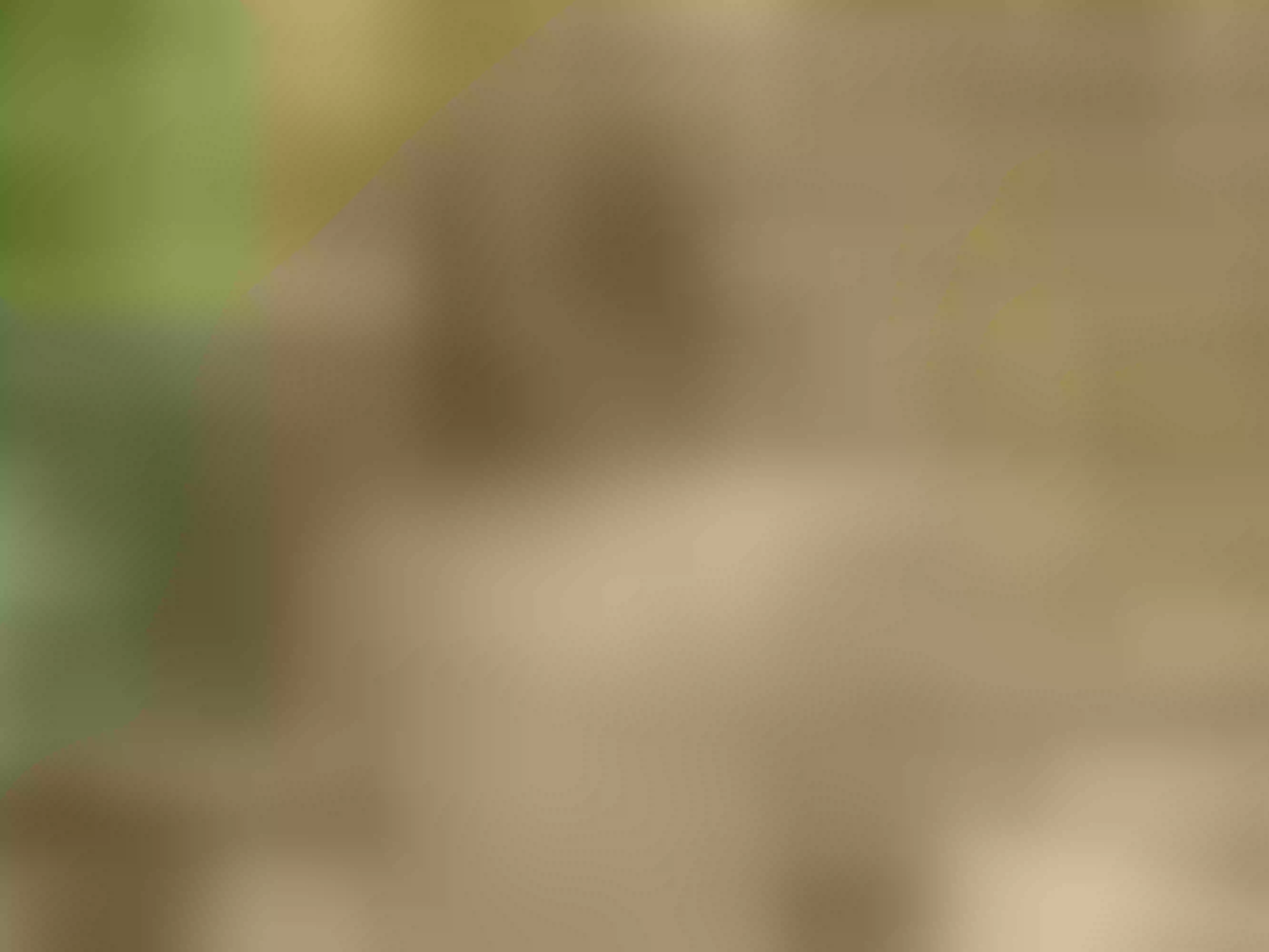 DaphnnePierce immagine del profilo del modello di cam