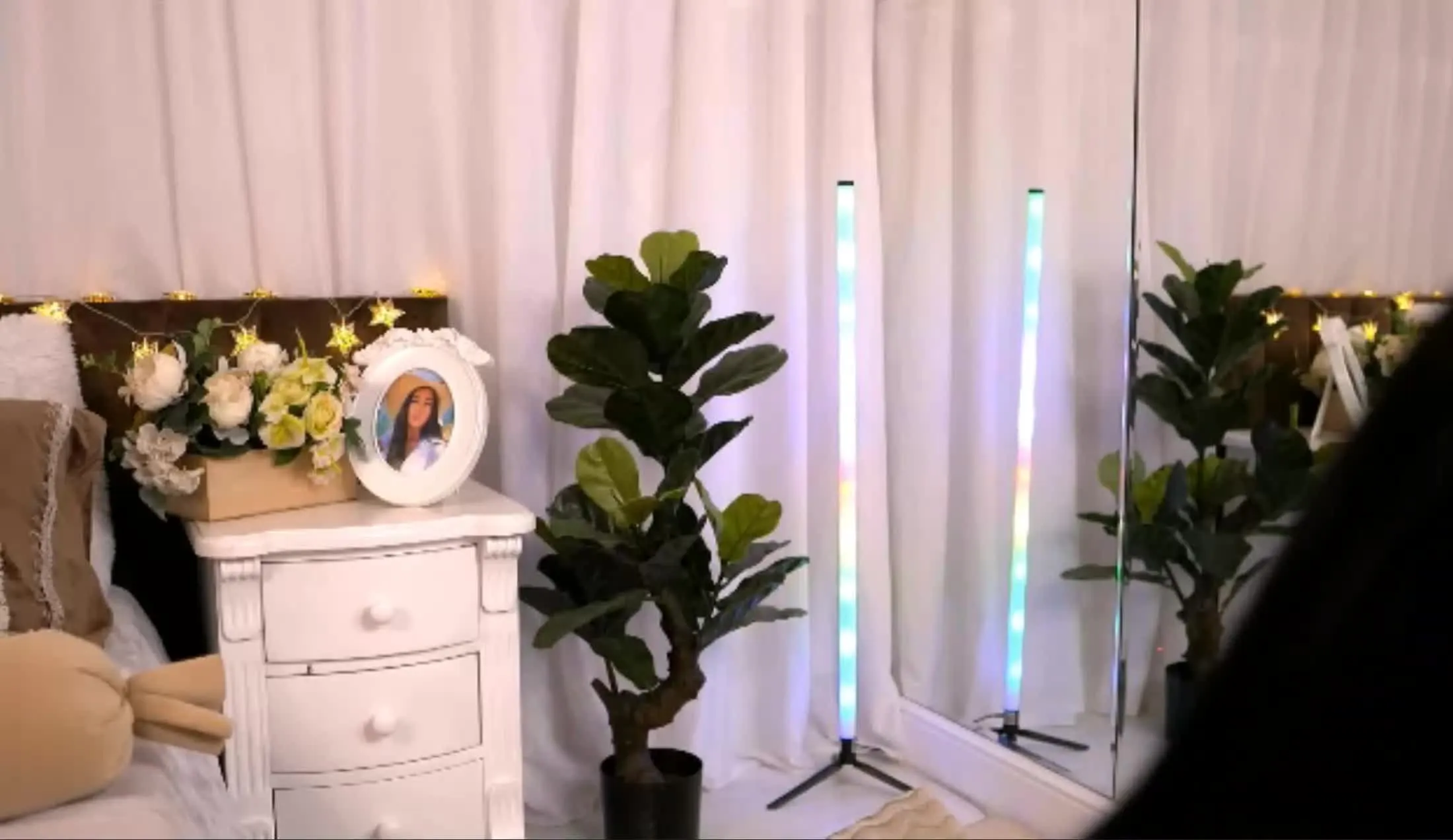 Artist AnnaRhodes Video 2