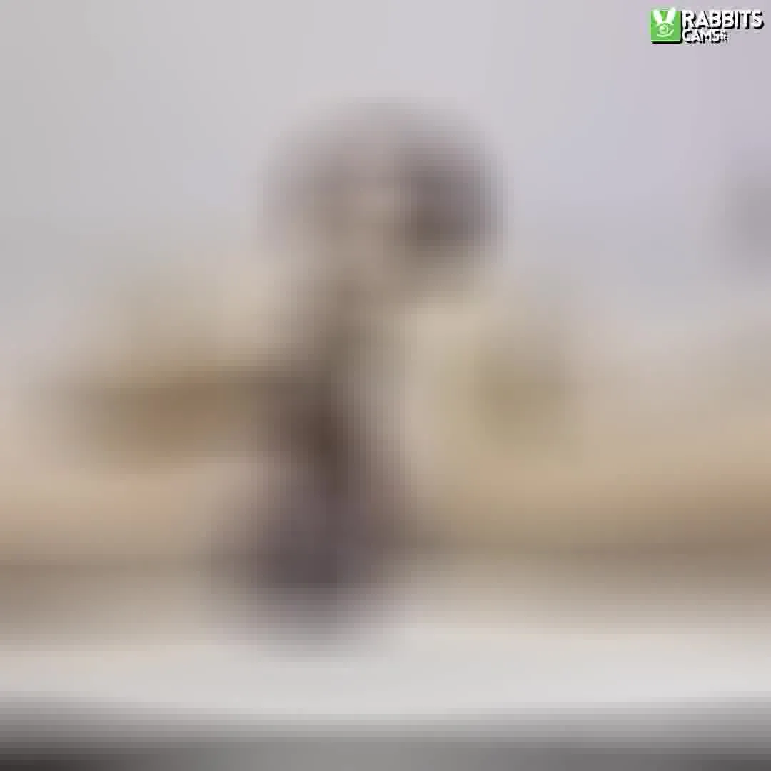 Artist ZhoeKiss Video 2