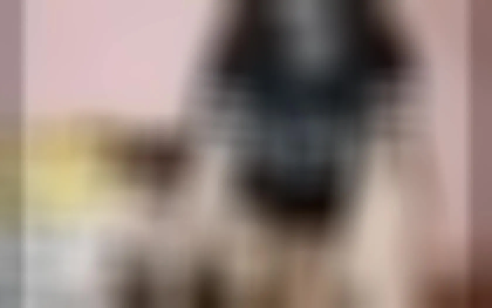 Intérprete VIYOLETE Video 1