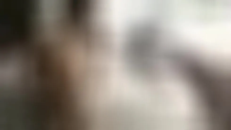 Interprete LovableCharming Video 1