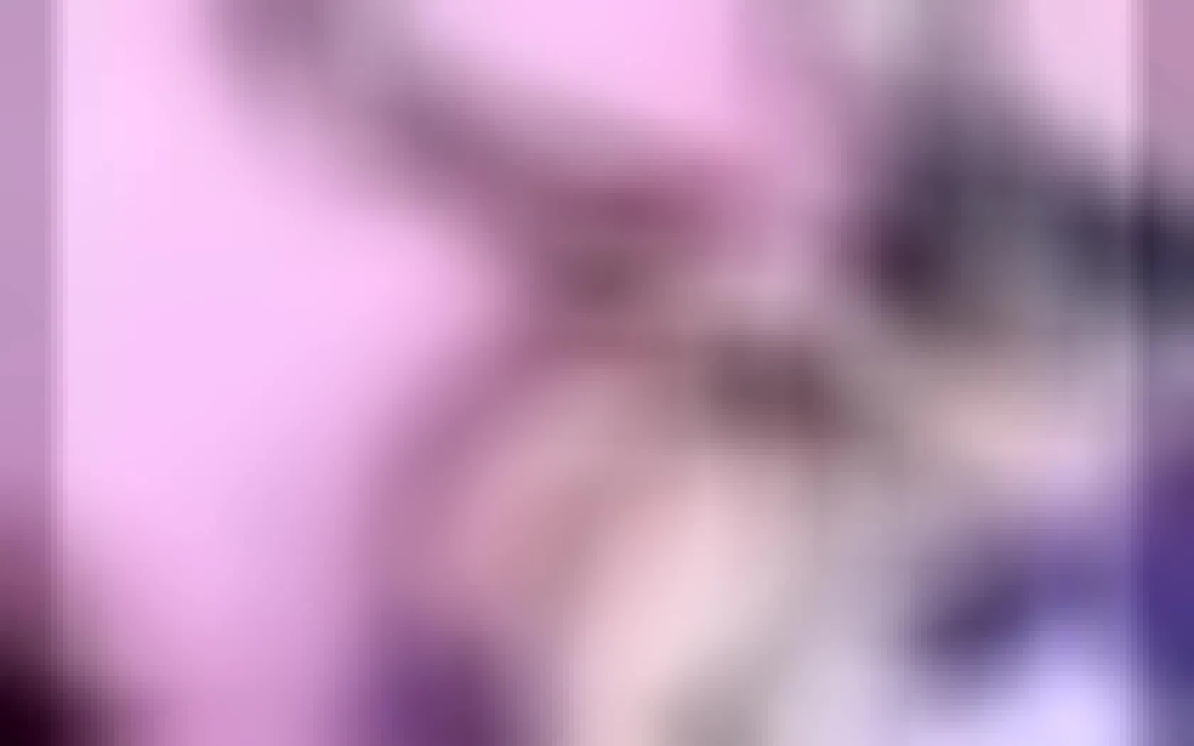 Performer Dellyrose Video 1