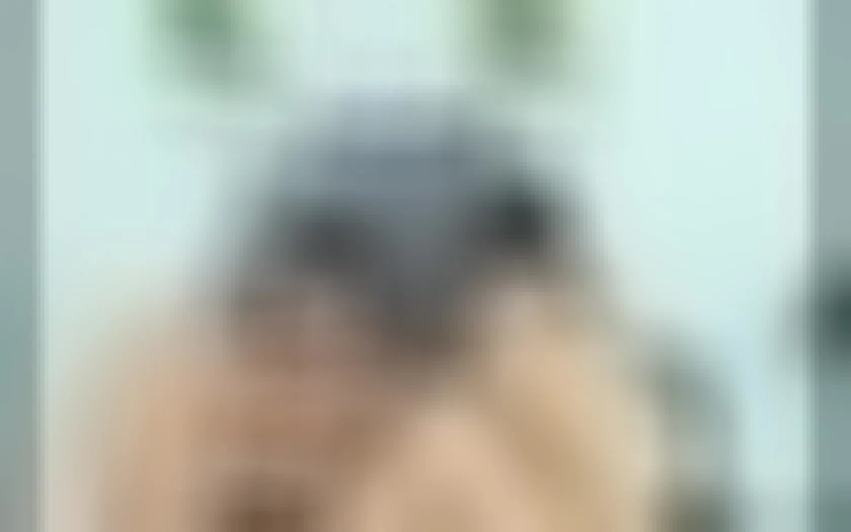 Interprète JayAndDann Vidéo 1