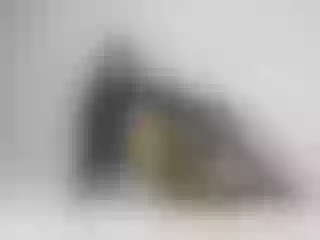 Image de profil du modèle de webcam KataRoux