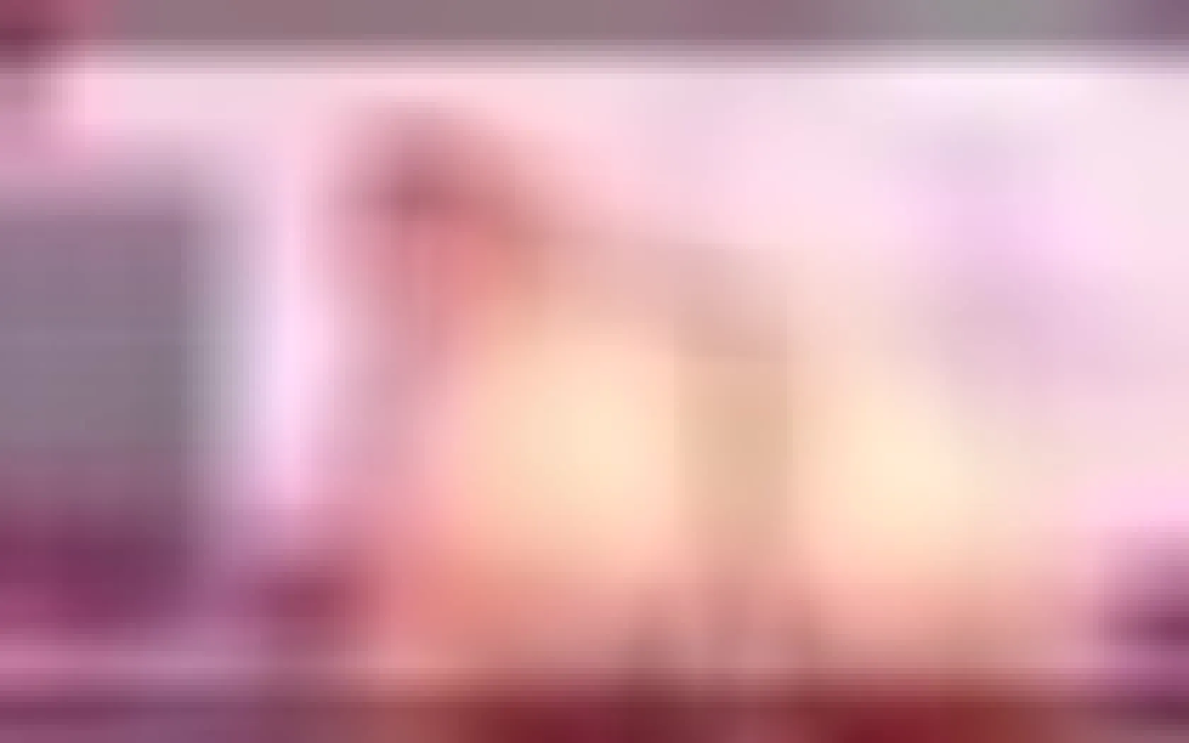 Interprete jesikarabittt Video 1