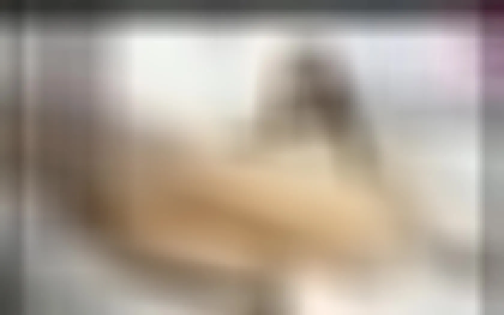 Darsteller AlexiaSmith018 Video 1