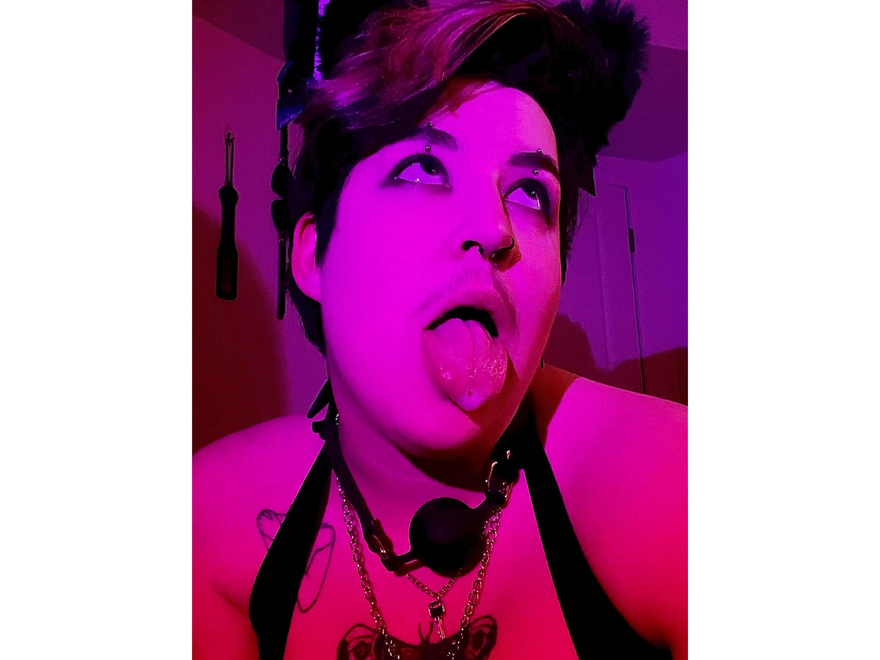 Image de profil du modèle de webcam ArloPrince