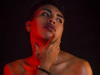 Foto de perfil de modelo de webcam de SebastianLeymond