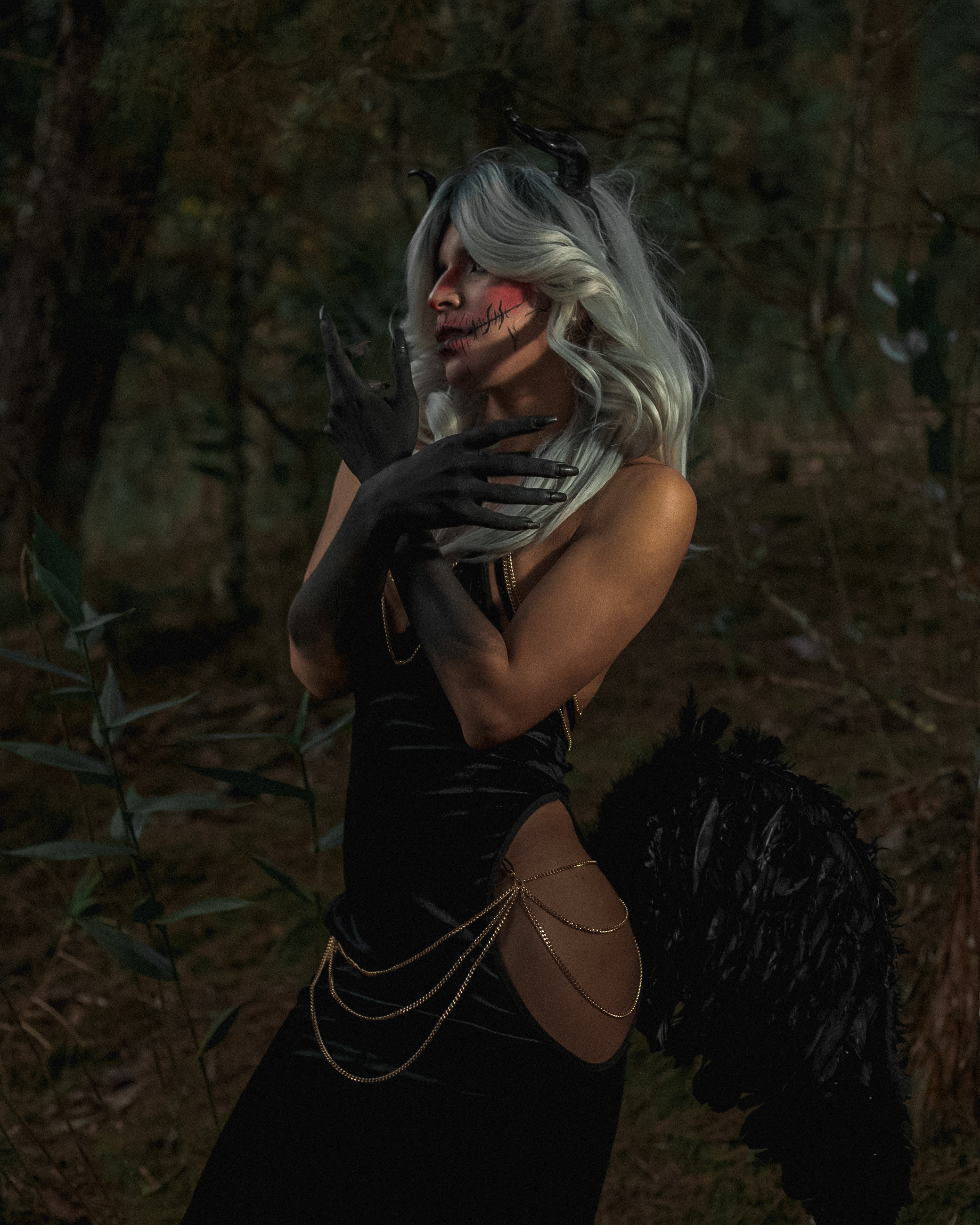 Interprete CampbelGinger Foto 1