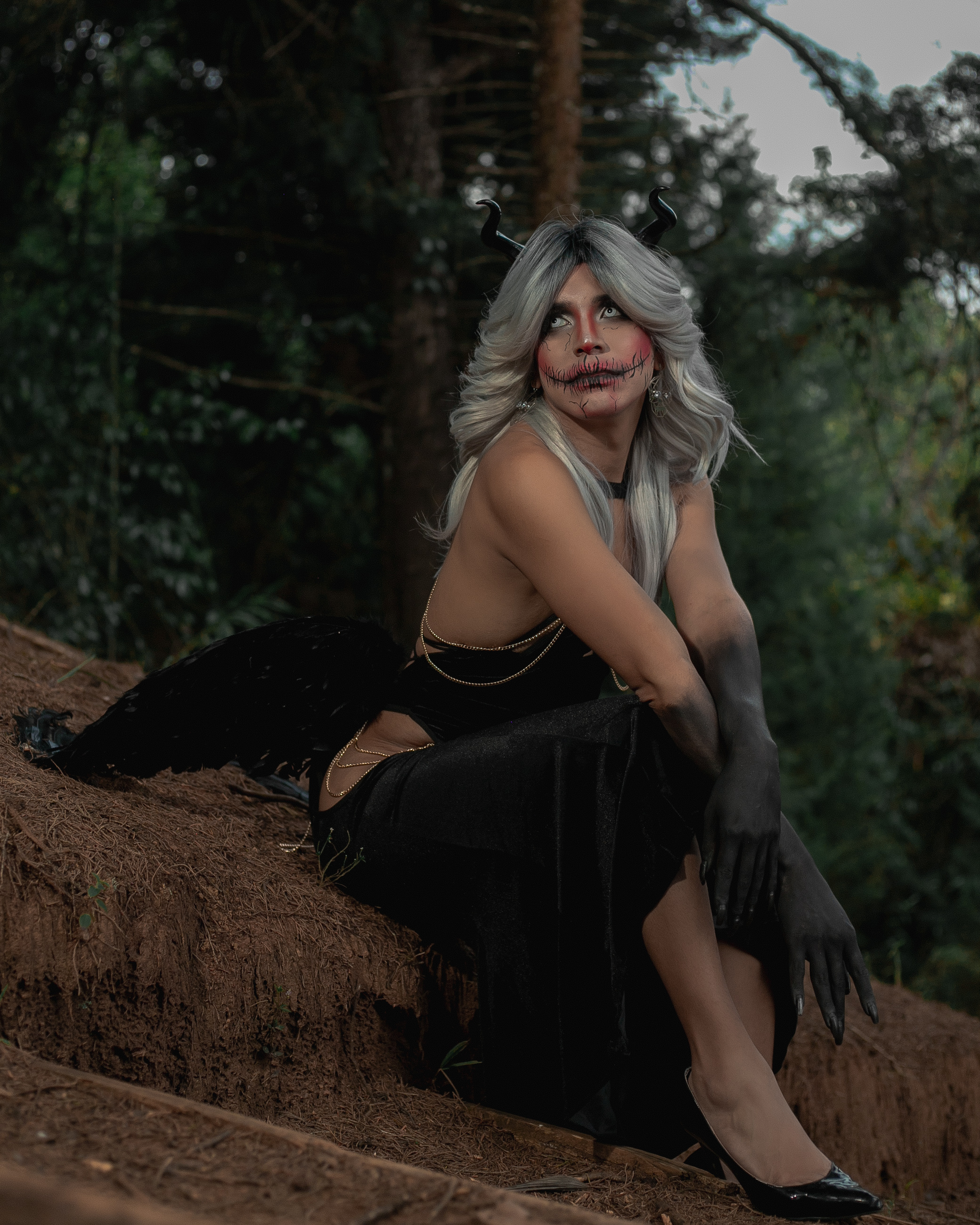 Interprete CampbelGinger Foto 4