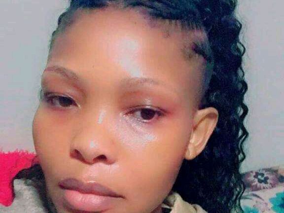 Hugenaturalcurves26 immagine del profilo del modello di cam