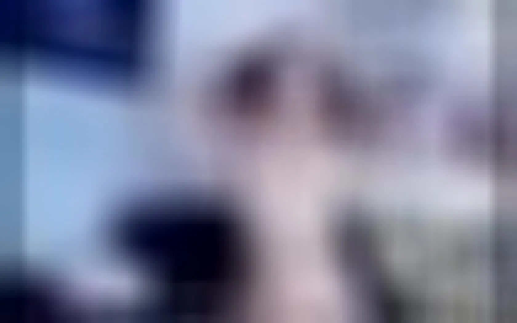 Interprete Electr24 Video 1