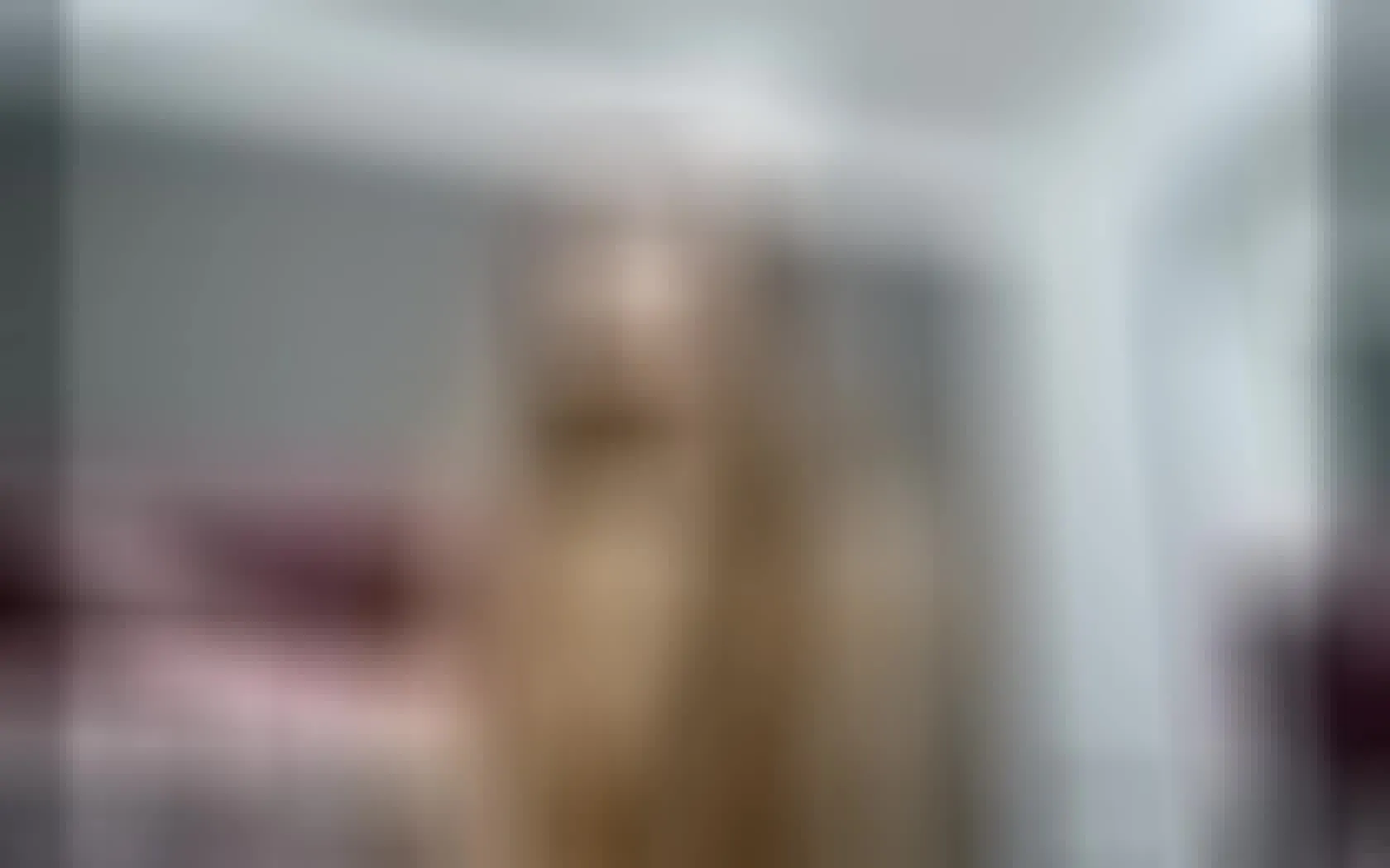 Interprete DianeDuboiss Video 1