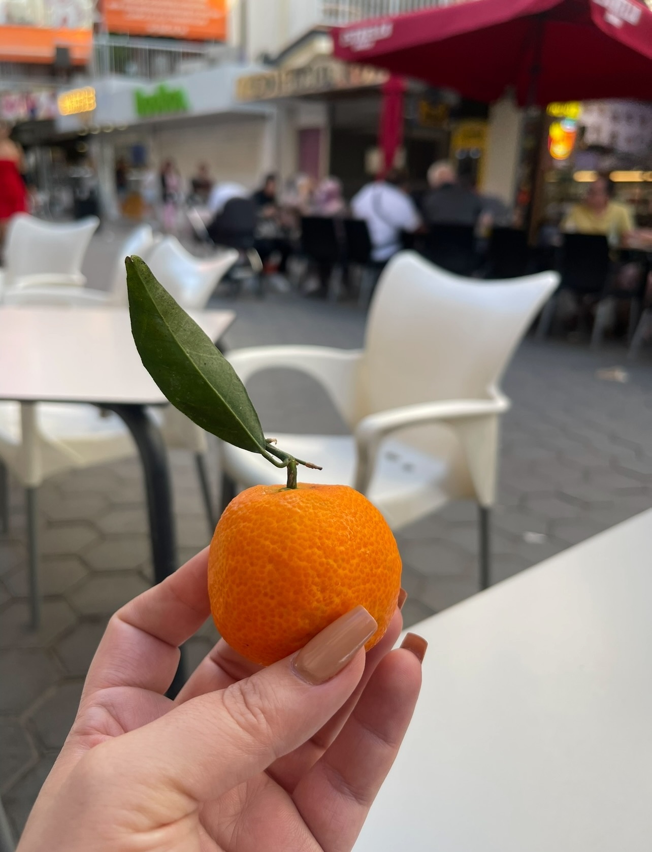 Interprète Marieleclerc Photo 7