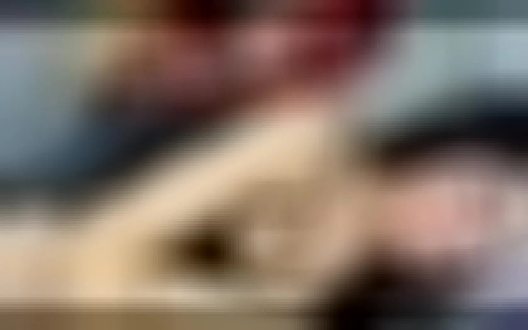 Utøver ValenFerrara Video 2