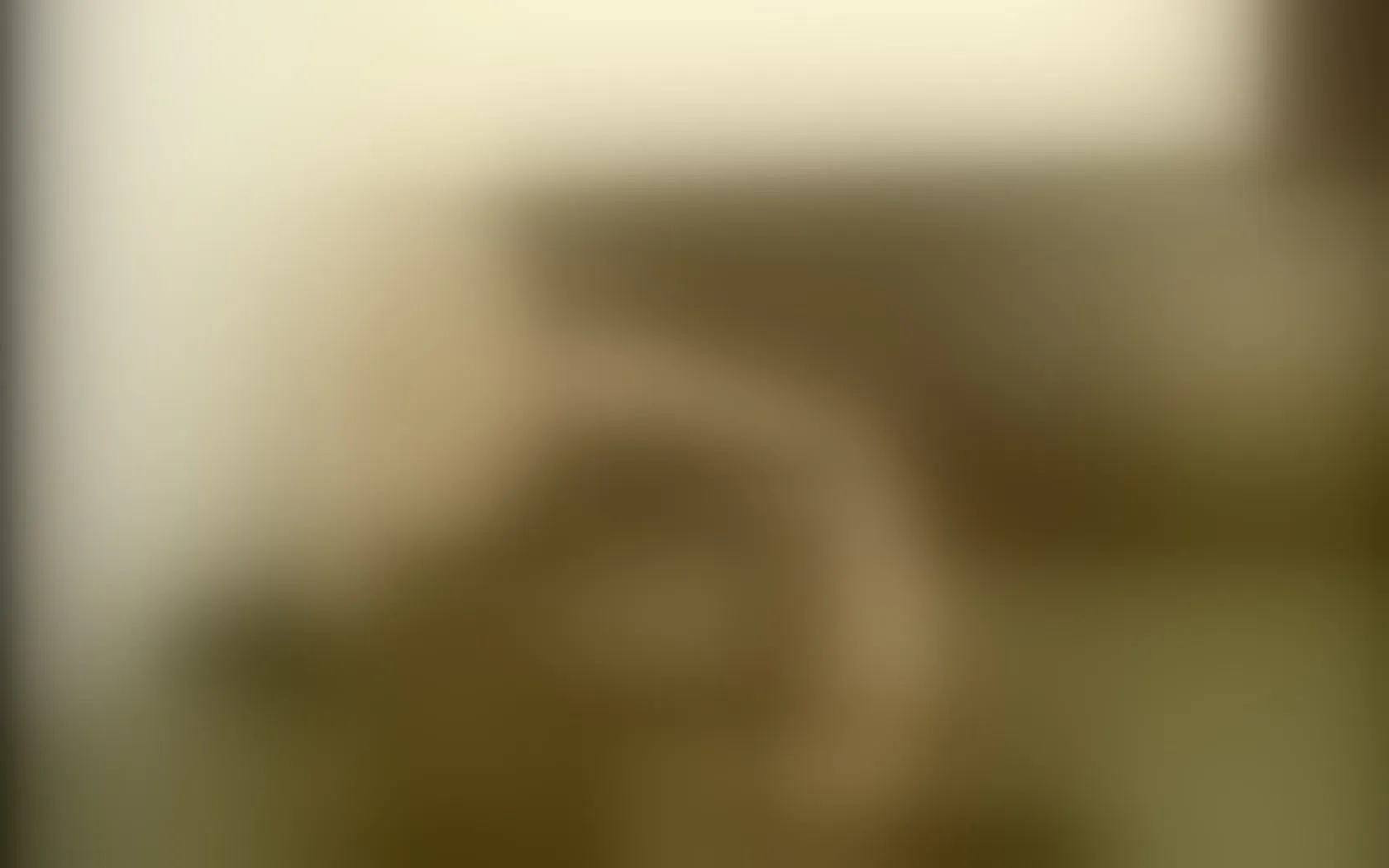 Performer TiaisTasty Video 1