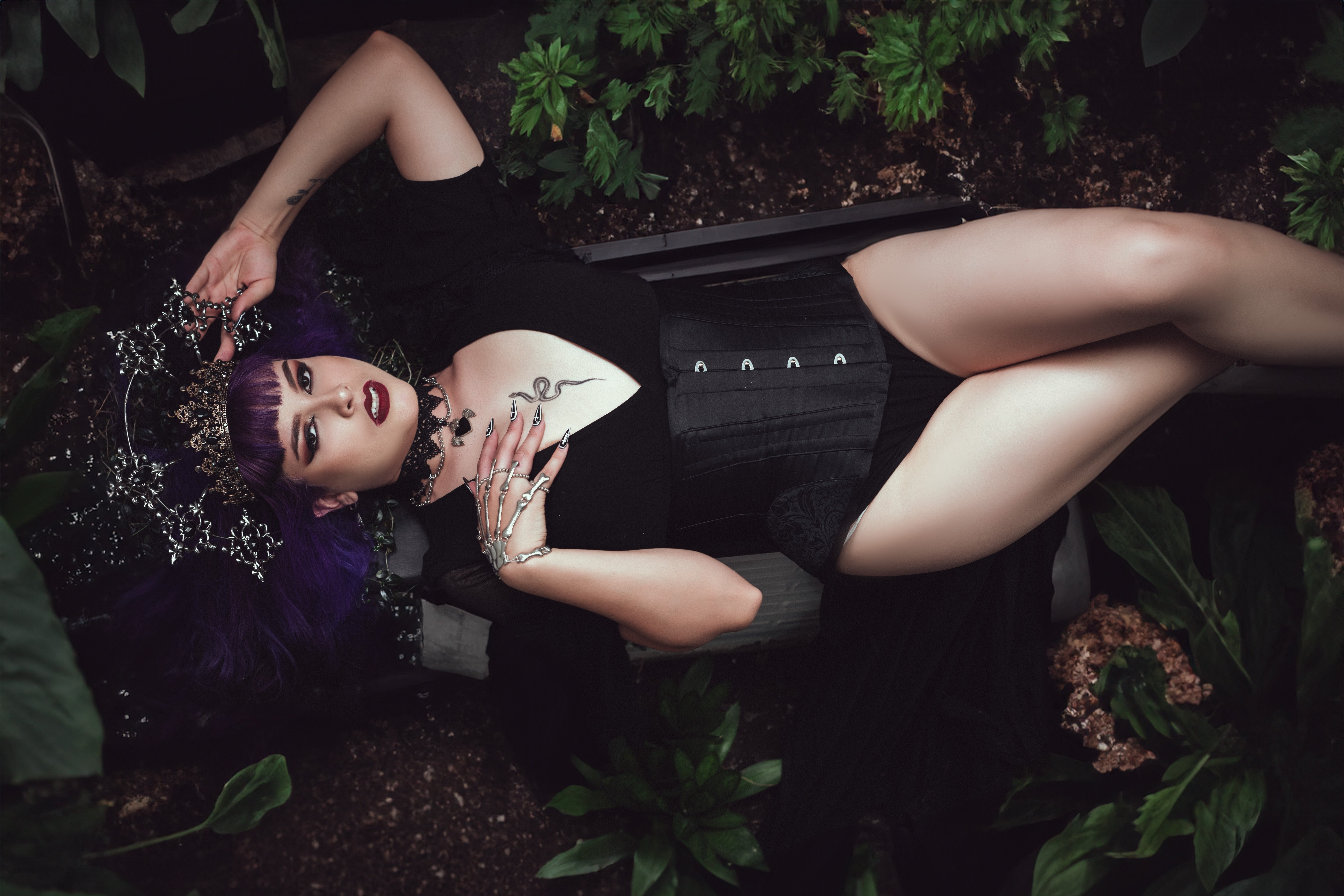 Interprete AngellFox Foto 8