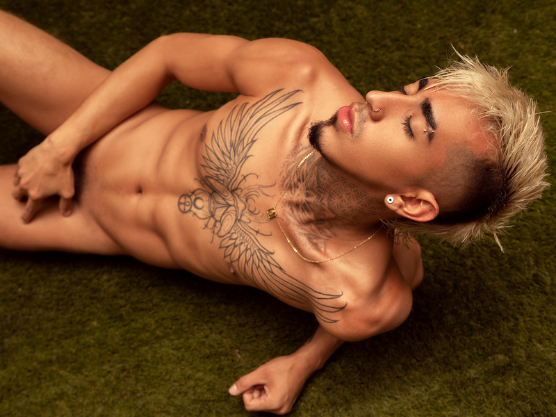 Interprète DonovanDesmond Photo 12