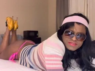 Image de profil du modèle de webcam hollytranny