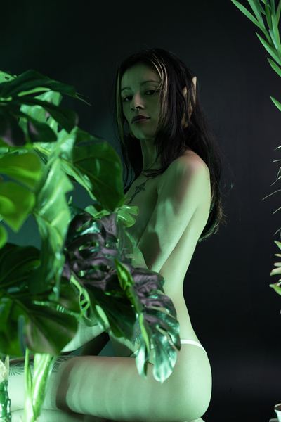 Artiest KimMillers Foto 4