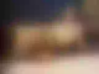 Image de profil du modèle de webcam SophieCarther