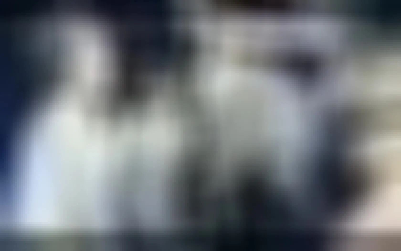 Interprete VegasPartyBus Video 1