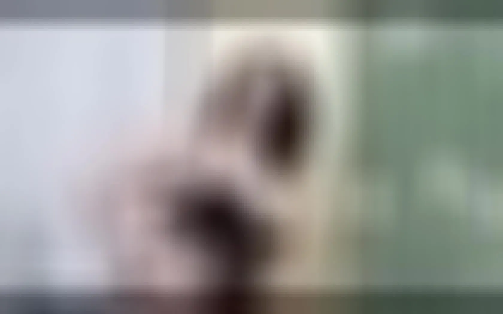 Interprete AvaRivers Video 1