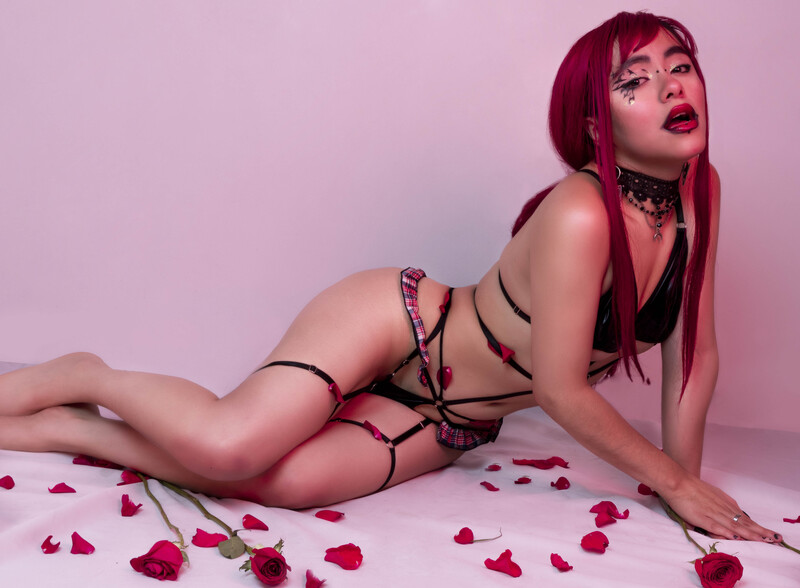 Interprete AmaraSoll Foto 8